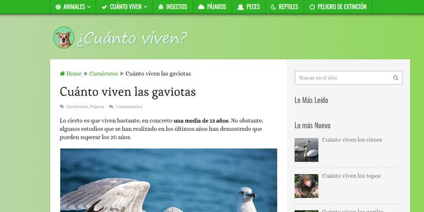 Cuanto Viven - Meganicho de ejemplo