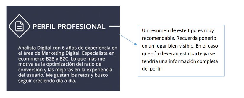 Indicar el perfil profesional en tu CV